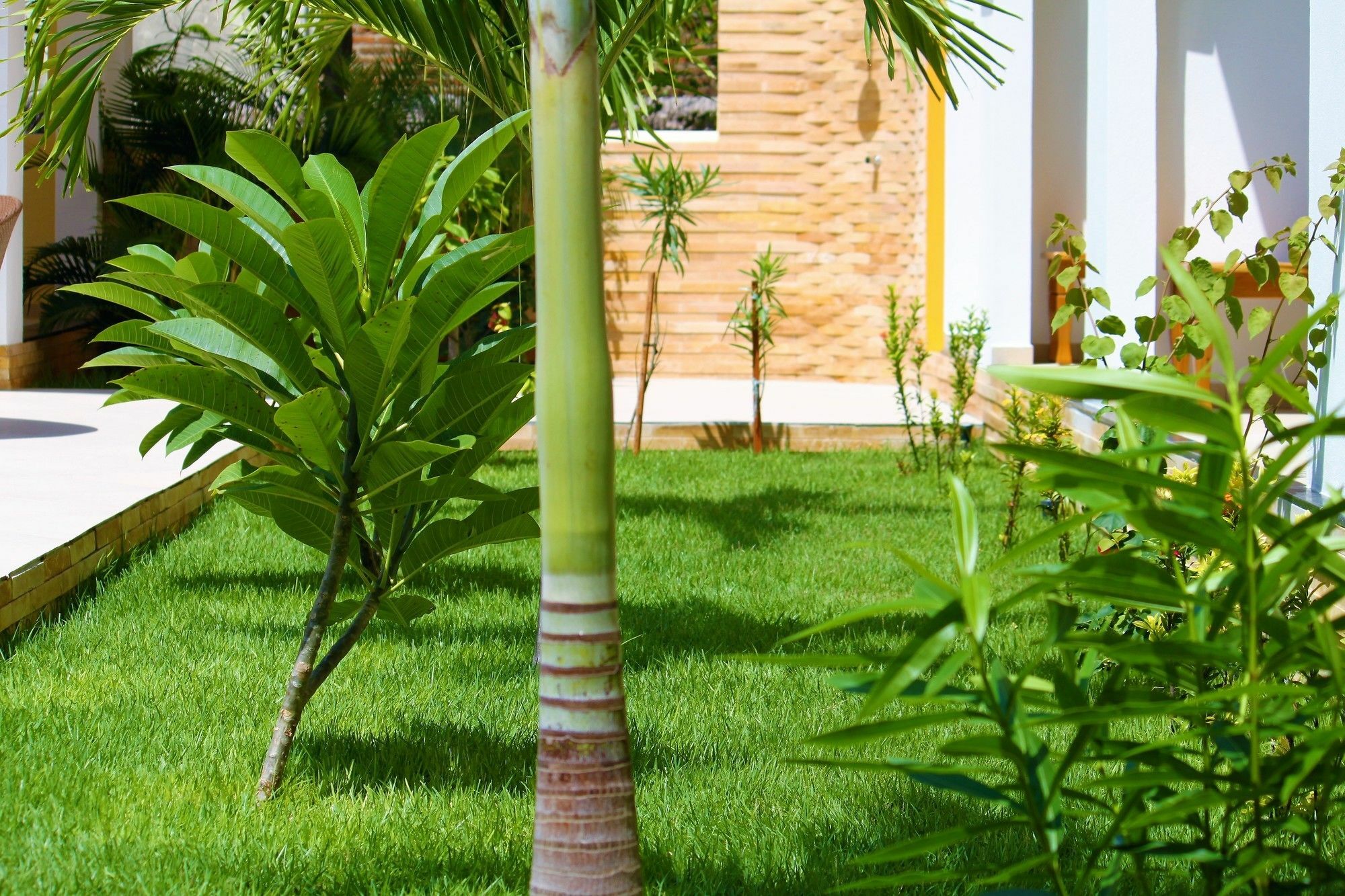 Hotel Villa Beija Flor Жижока-ди-Жерикуакуара Экстерьер фото